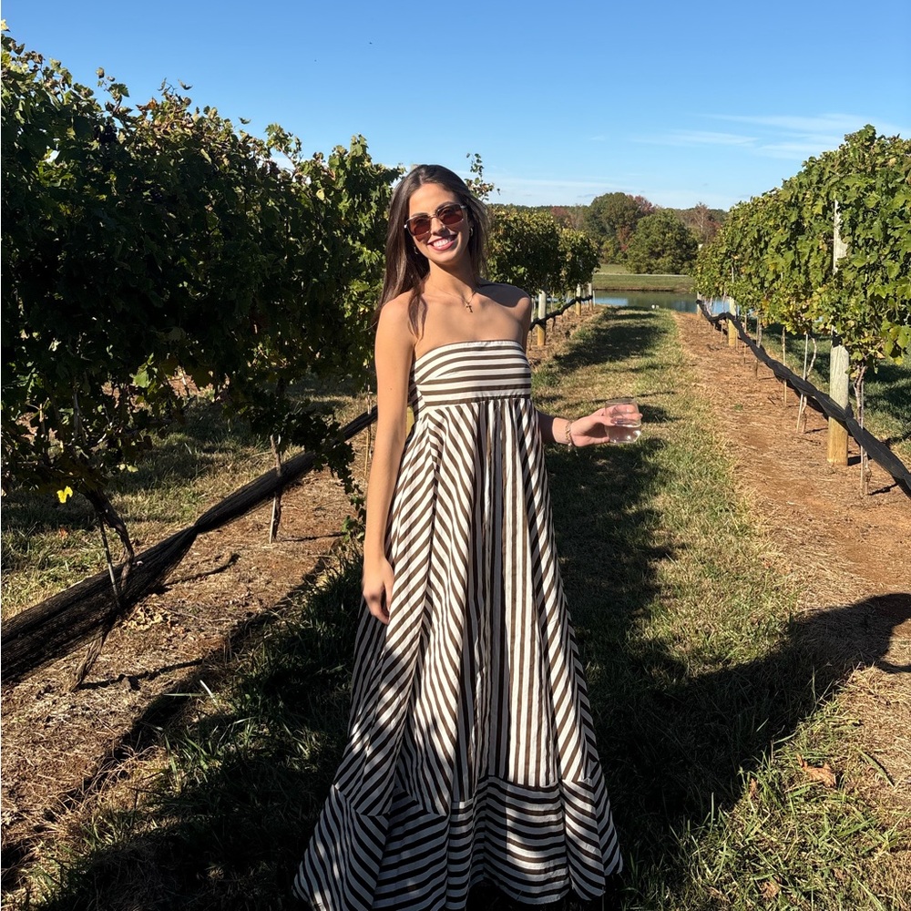 Petal & Pup Strapless Striped Maxi Dress